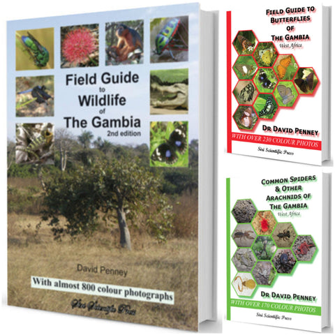 Gambia Field Guide Bundle