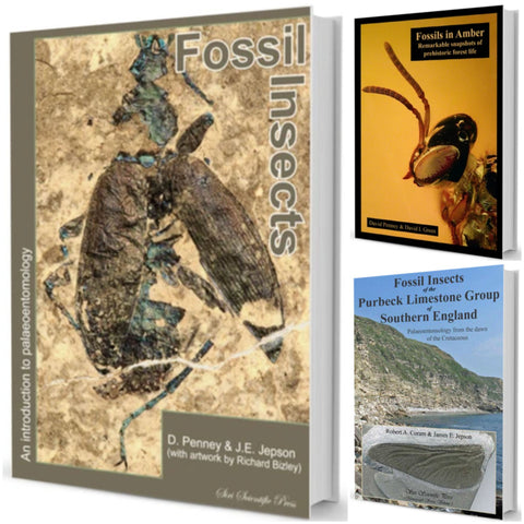 Fossil Insects Bundle