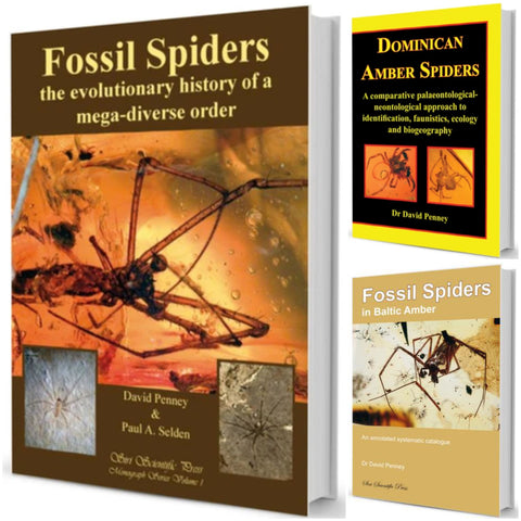 Fossil Spiders Bundle