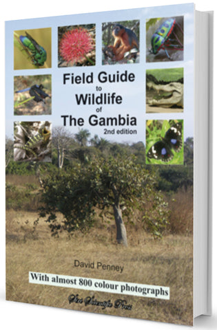 Field Guide to Wildlife of The Gambia 2nd Edition