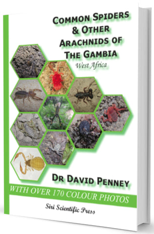 Common Spiders & Other Arachnids of The Gambia, West Africa