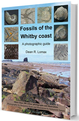Fossils of the Whitby Coast: A Photographic Guide