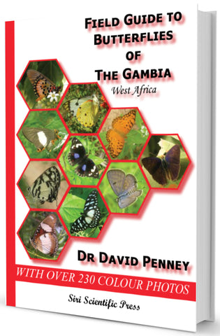 Field Guide to Butterflies of The Gambia, West Africa